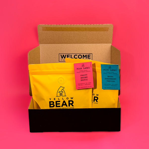 Yellow Bear Cubscription