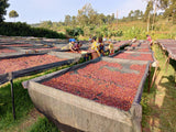 Tarime - Tanzania