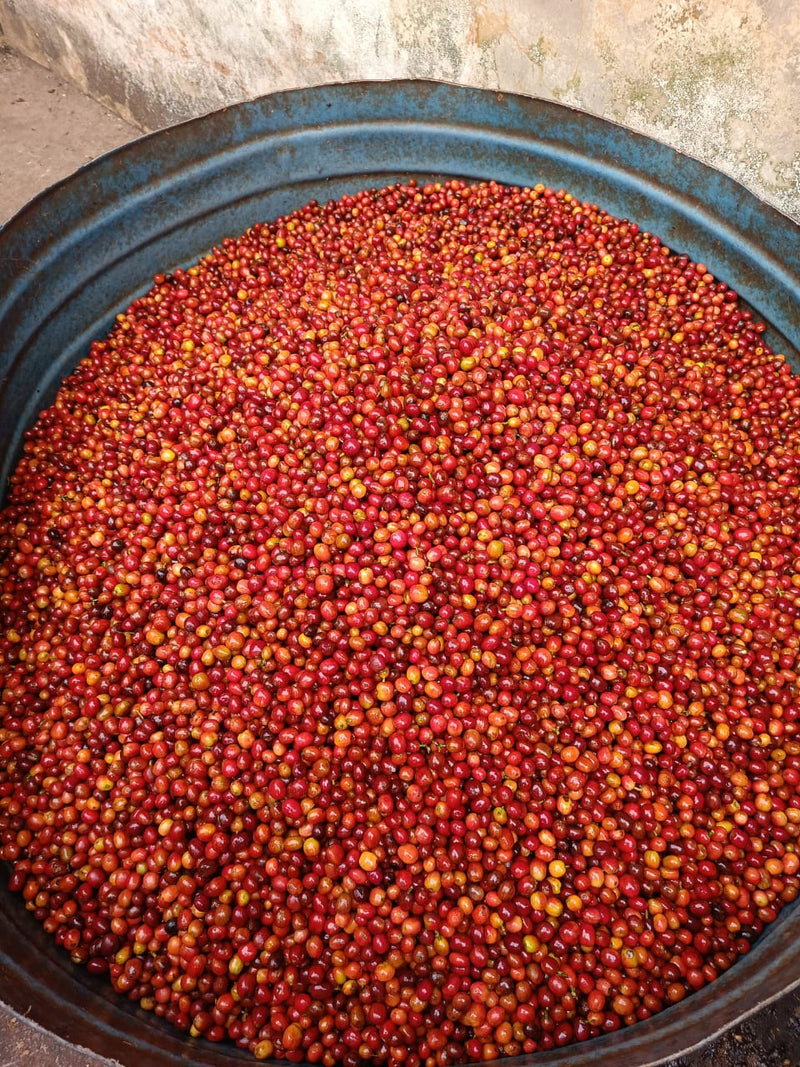 Tarime - Tanzania