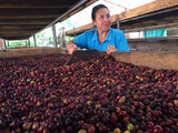 Agua Linda- Colombia
