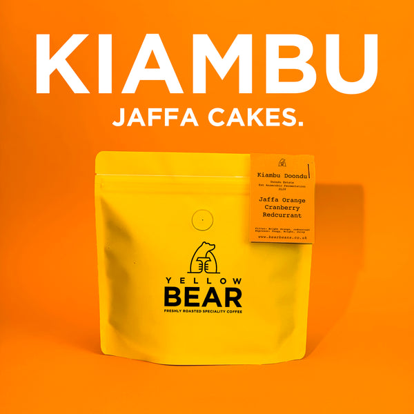 Kenya - Kiambu Doondu SL28 Ext Anaerobic Ferm