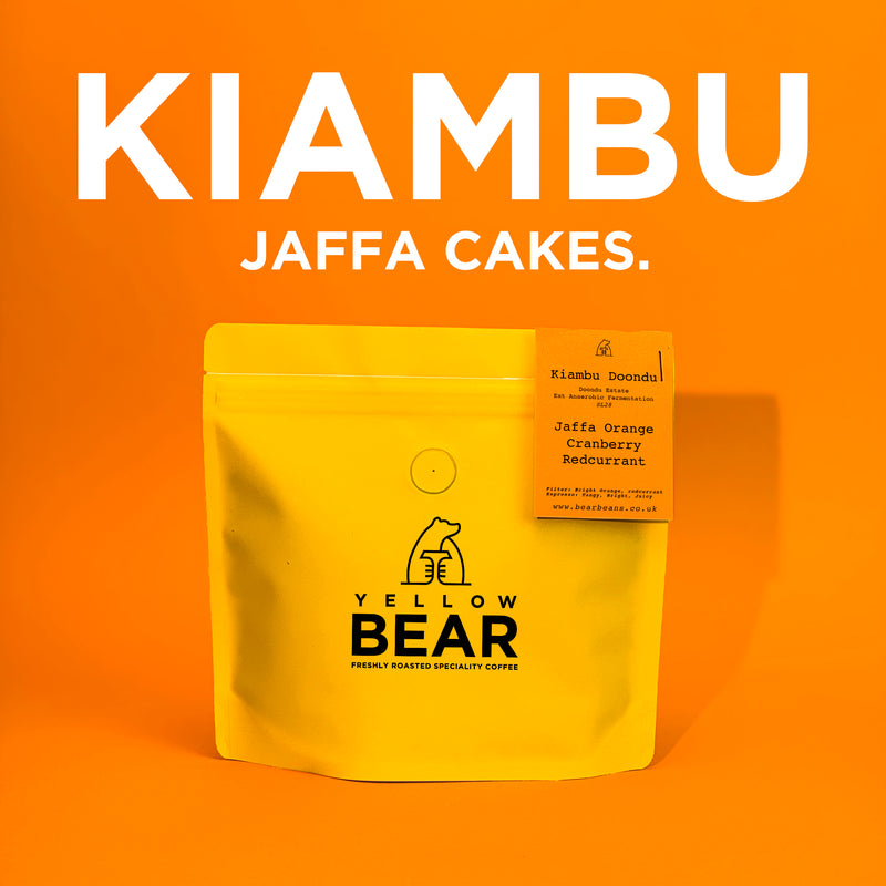 Kenya - Kiambu Doondu SL28 Ext Anaerobic Ferm