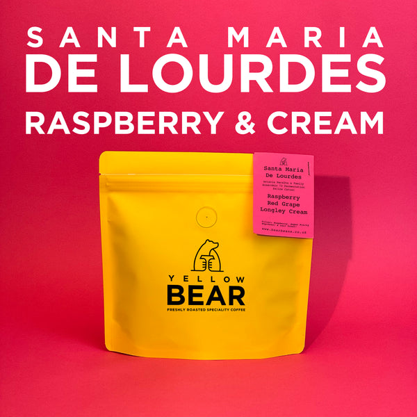 Santa Maria De Lourdes (ext anaerobic)