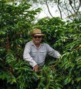 Alejandro Martinez - Mexico Competition Coffee