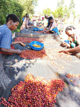 Tarime - Tanzania