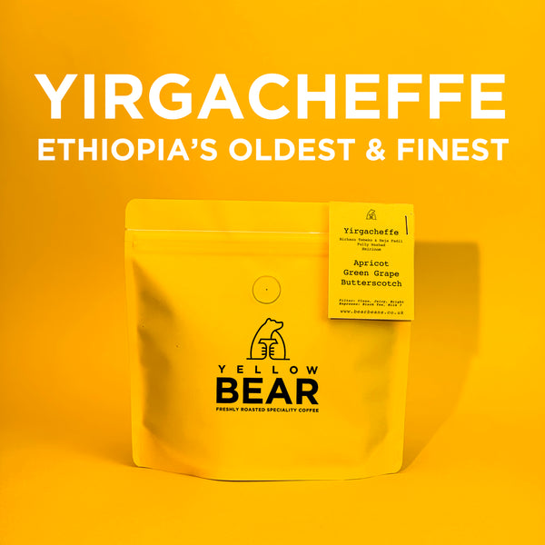 Yirgacheffe G2 - Fully Washed