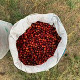 Agua Linda- Colombia