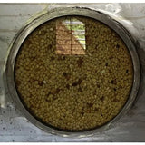KIWI Co. La Luisa - Colombia