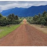 Phetlamka Carbonic Natural - LAOS